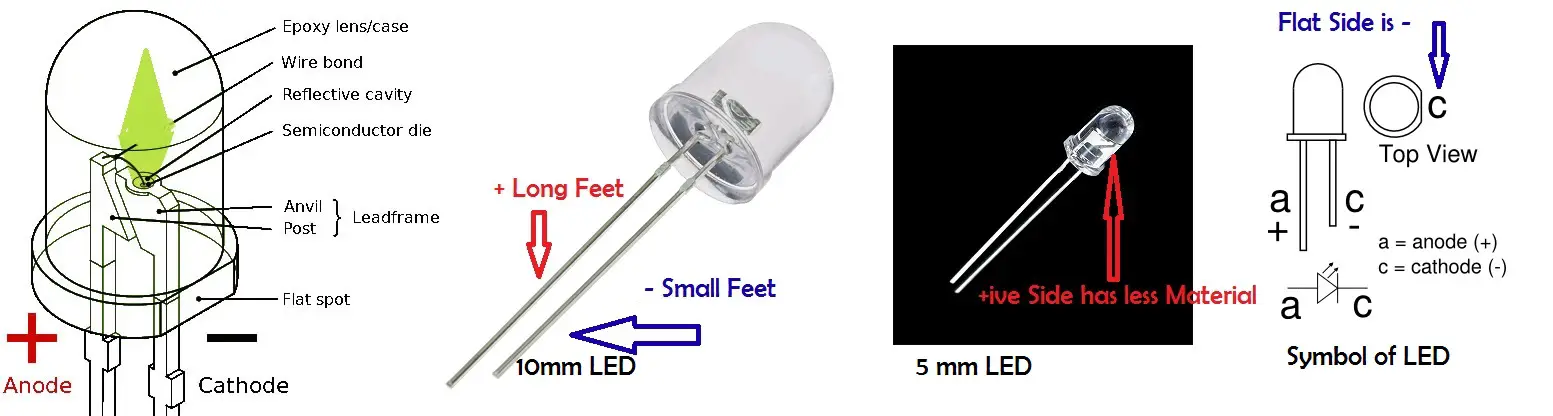 led positive and negative legs