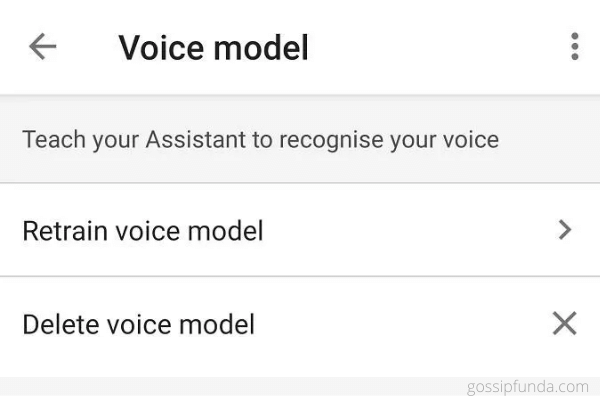Teach Google to perceive your voice once more 
