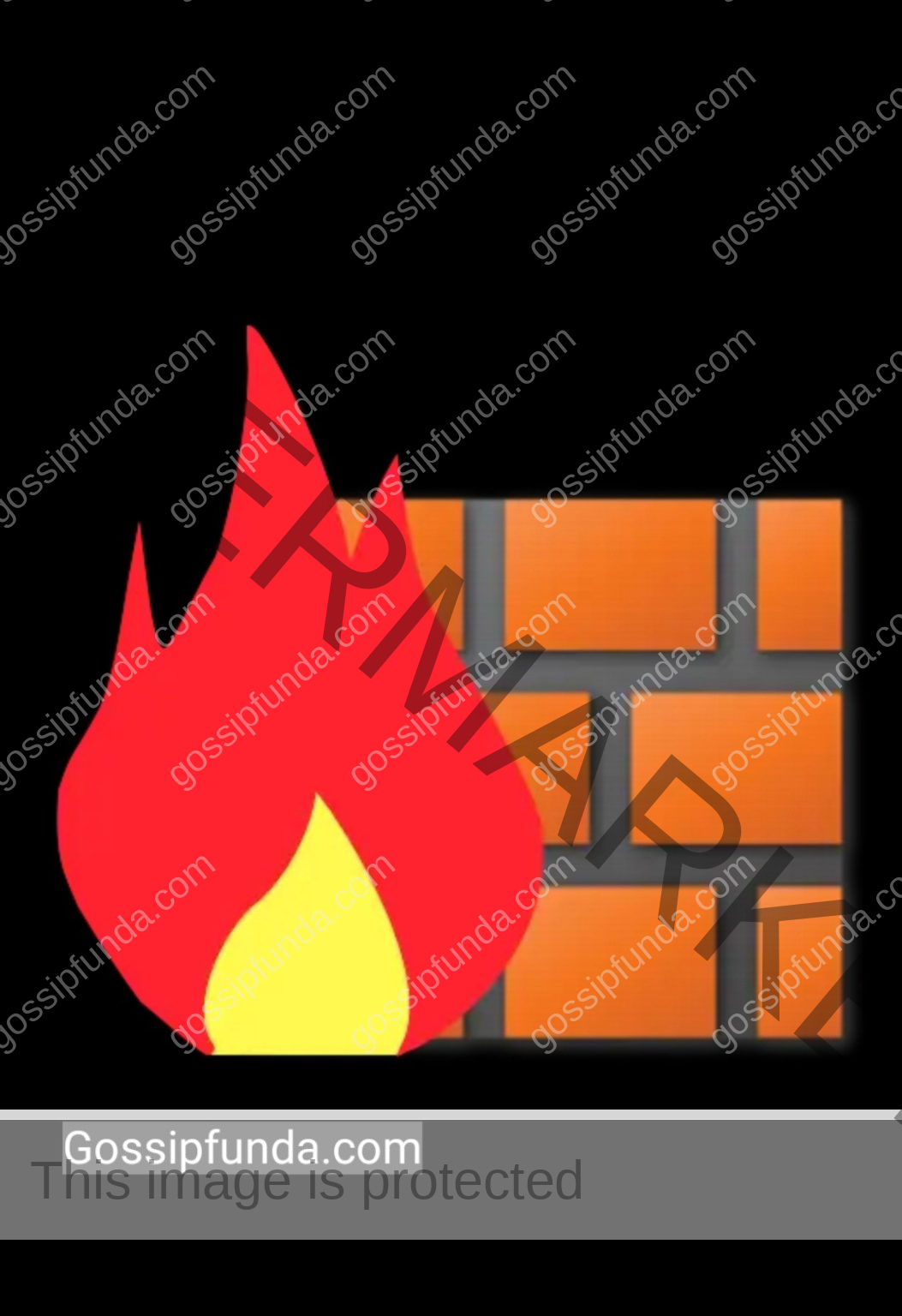 download the new for android Fort Firewall 3.9.7