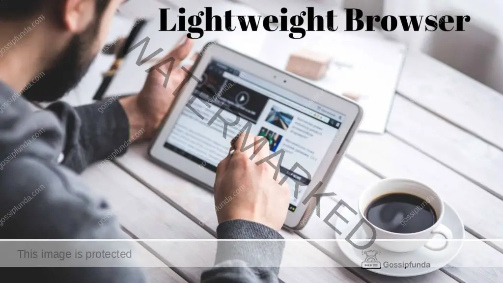 Lightweight Browser