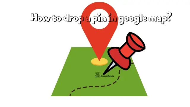 How to drop a pin in google map?