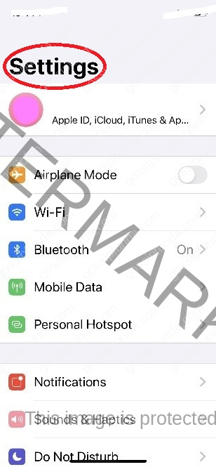 Changing Your Devices Name in iPhone