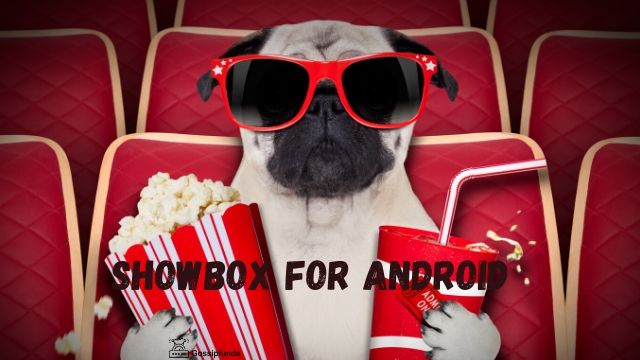 ShowBox For Android