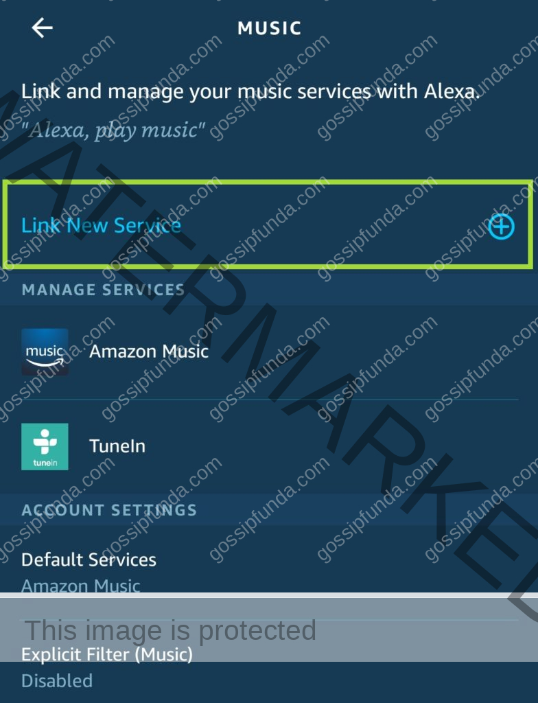 How to Play Spotify in Ale