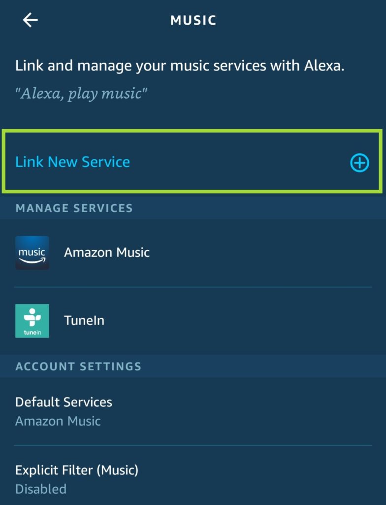 How to Play Spotify in Ale