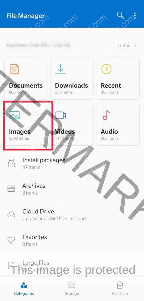 How to copy-paste images using File Manager
