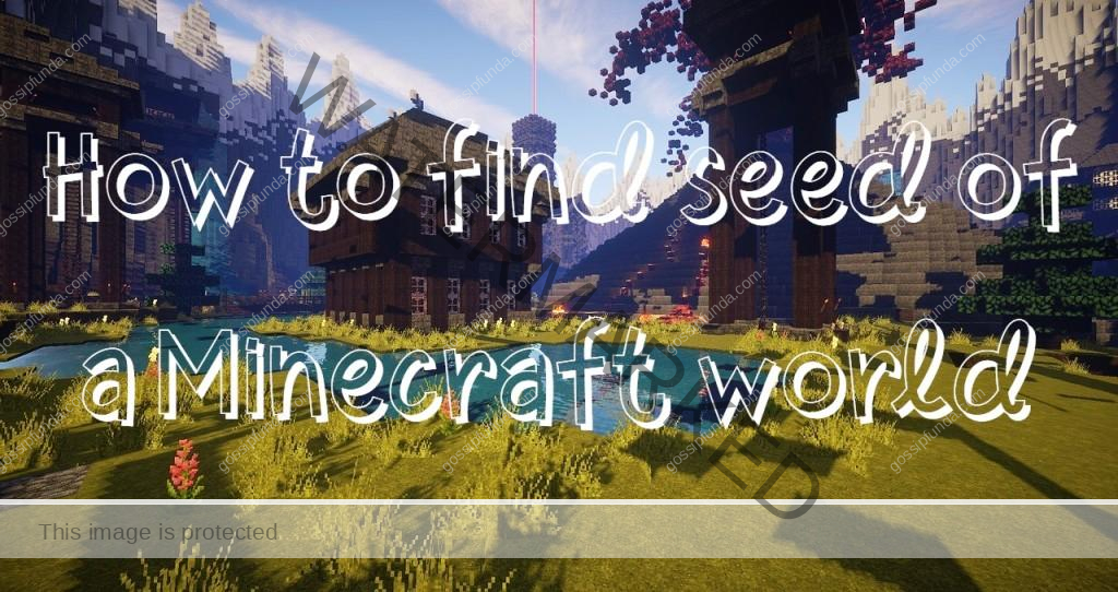 How to find the seed of a minecraft world: Online/Offline Server