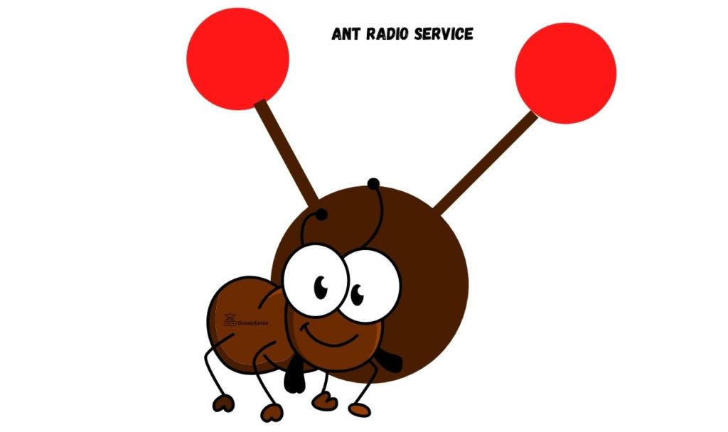 what is ant radio service