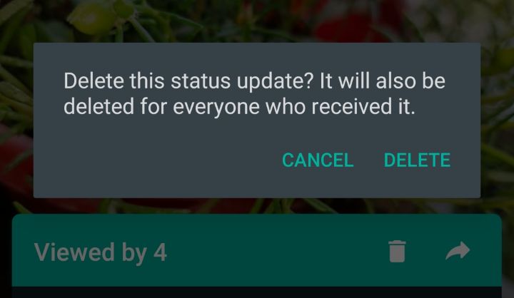 How to remove WhatsApp status?