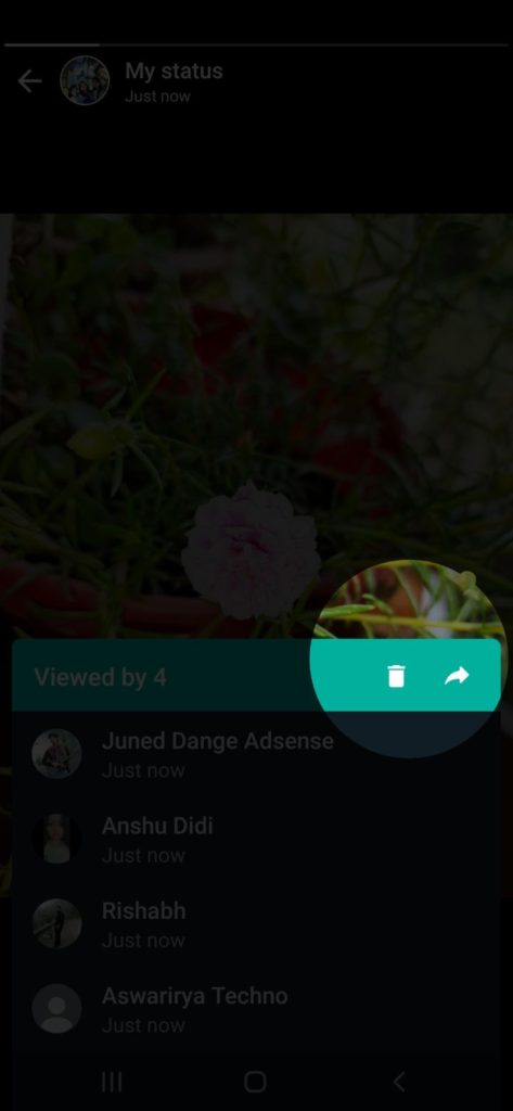 How to remove WhatsApp status?