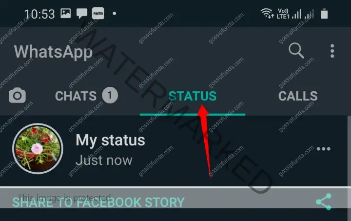 How to remove WhatsApp status?