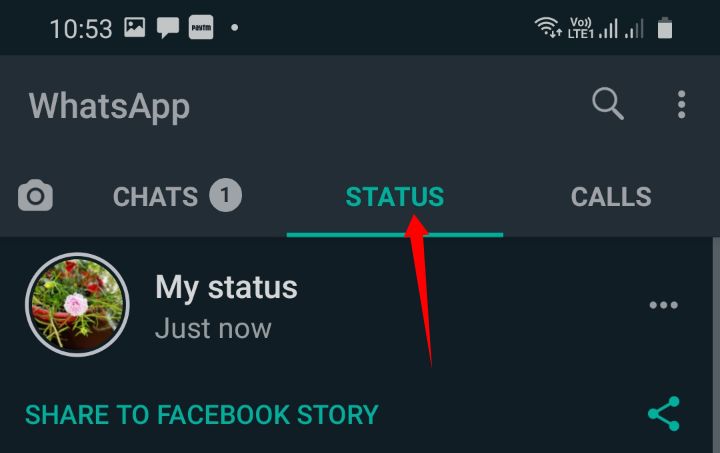 How to remove WhatsApp status?