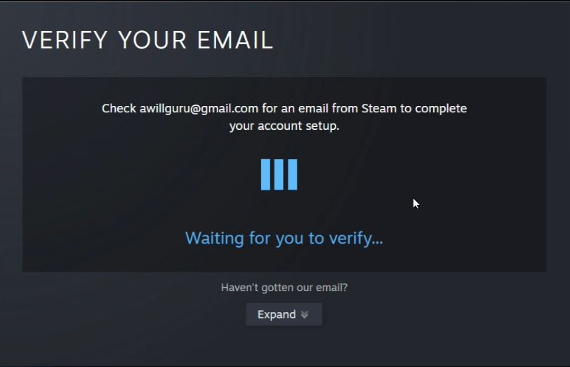 steam email verification