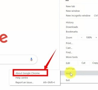 About google chrome option