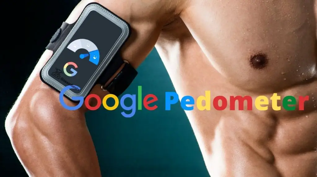 Google Pedometer