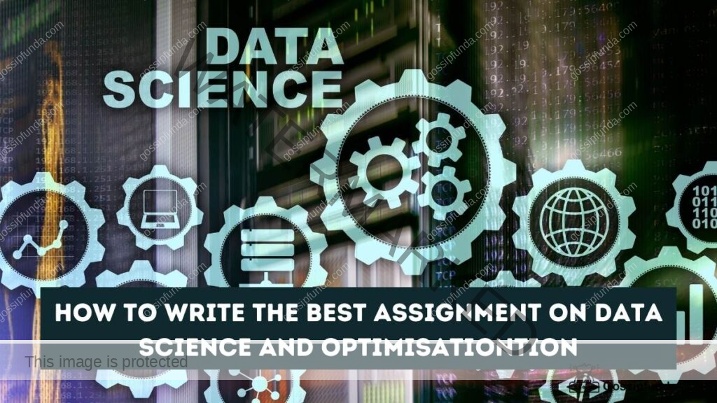 How to write the best assignment on Data Science and Optimisation