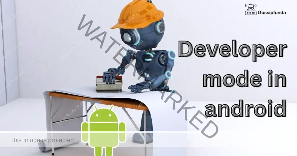 developer mode android