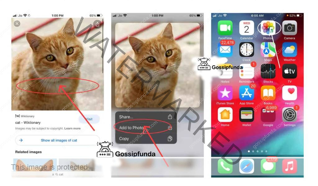 How to access downloads on iPhone's Photos App