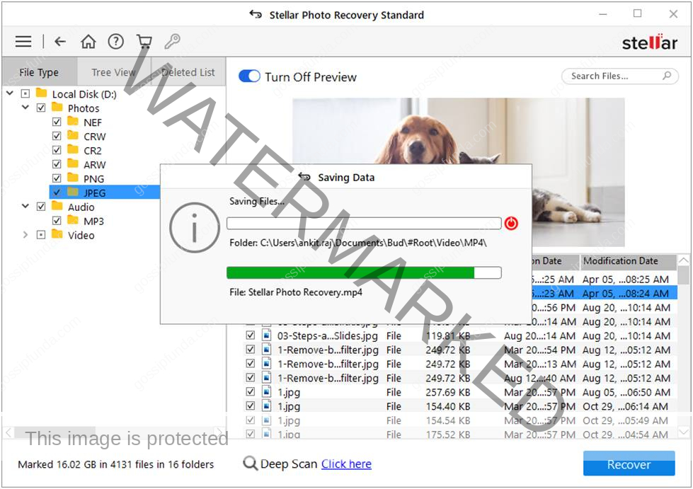 Select the deleted photos that you want to recover