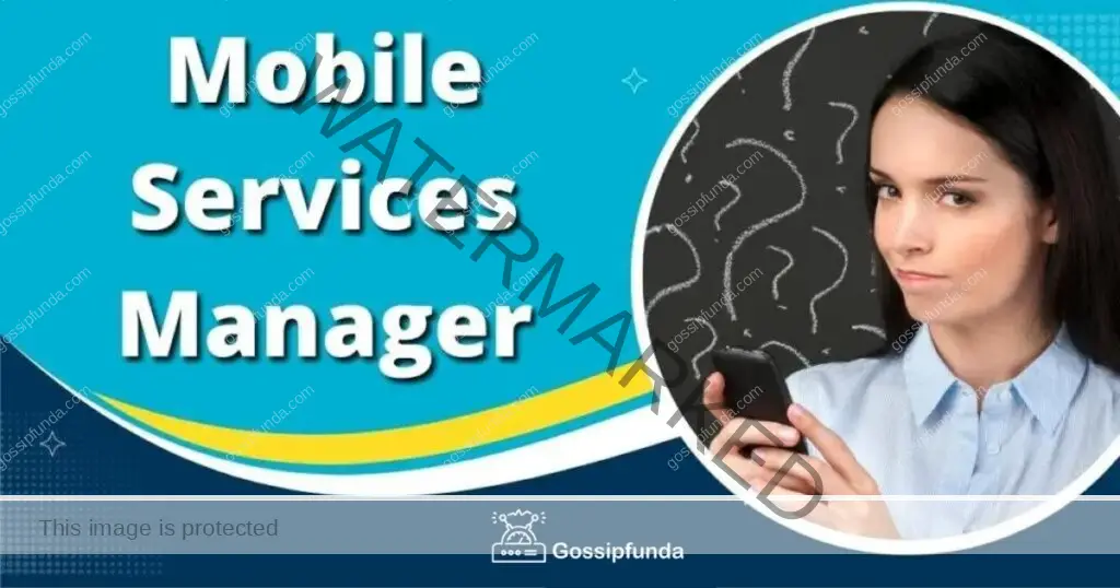 What is mobile services manager