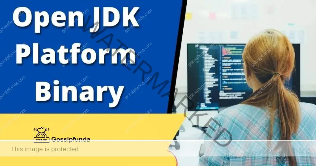 Open JDK platform binary