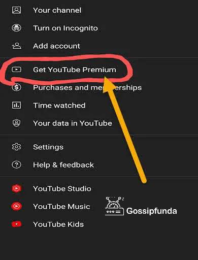 YouTube Premium family