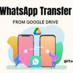 restore whatsapp backup from google drive to iphone