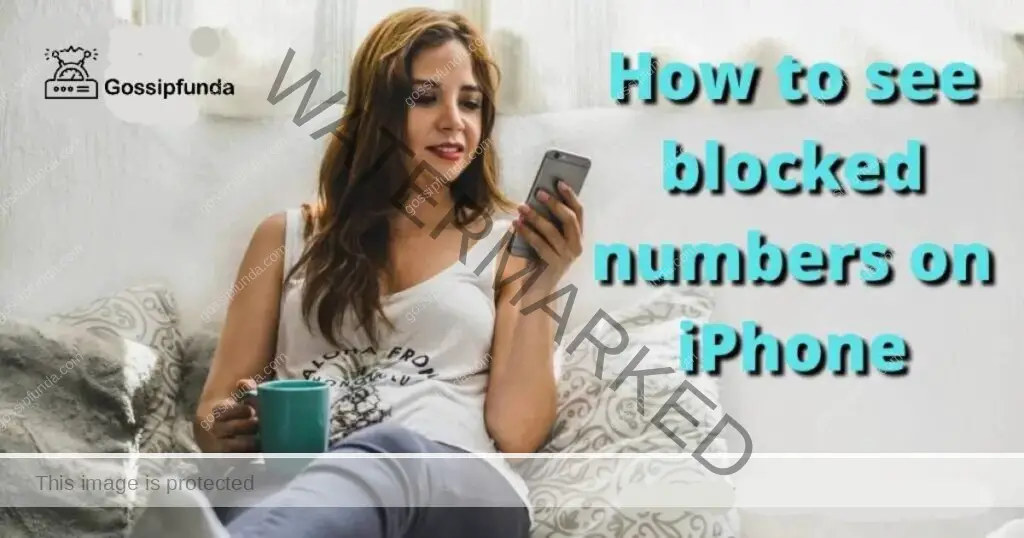 How to see blocked numbers on iPhone