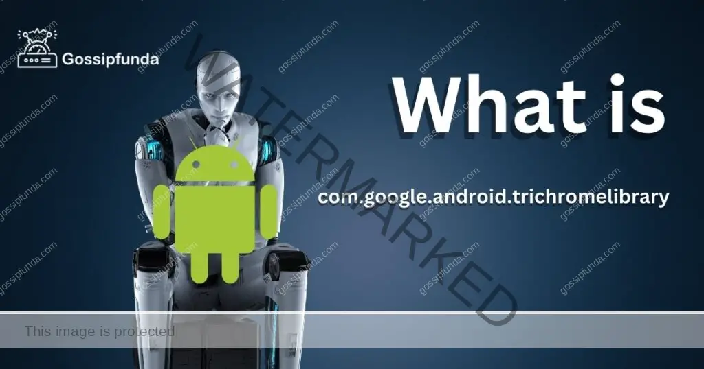 com.google.android.trichromelibrary