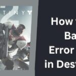 Baboon Error in Destiny 2
