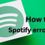 Spotify error 409