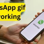 WhatsApp gif not working