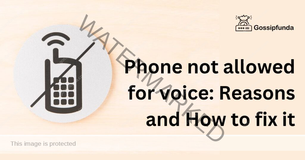 Phone not allowed for voice