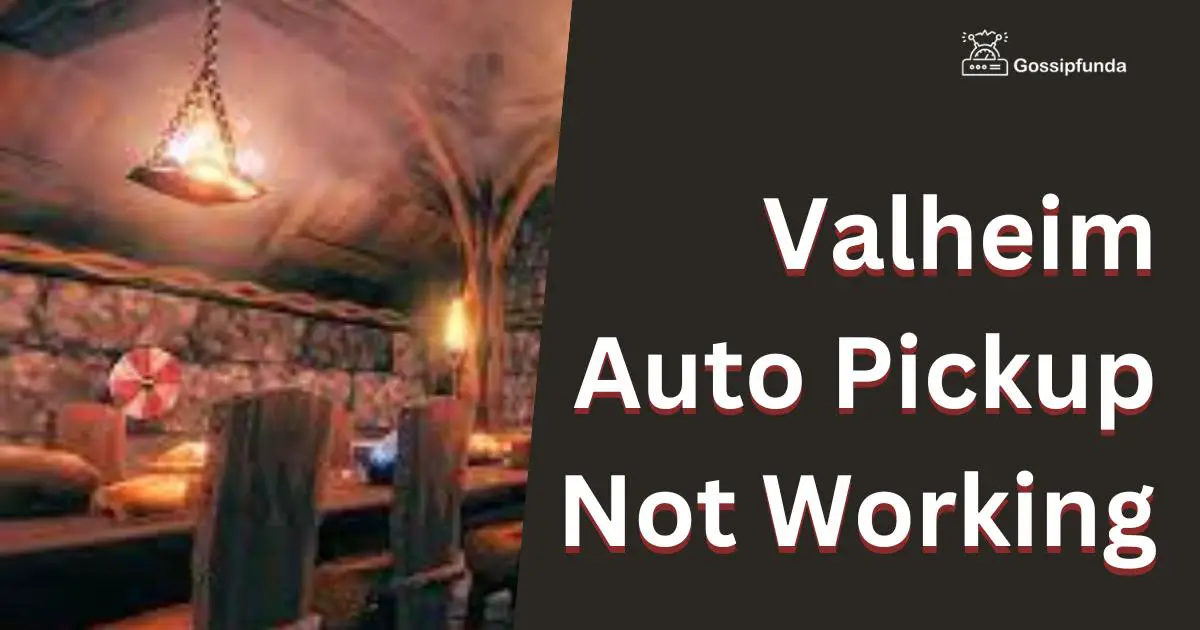 Valheim Auto Pickup Not Working Reasons and Fixes