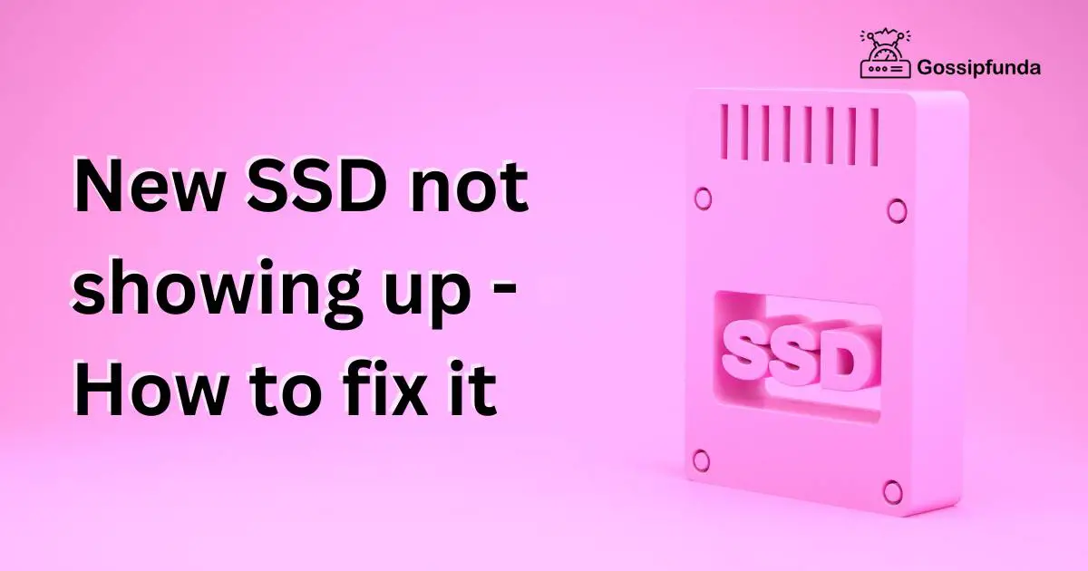 New SSD not showing up How to fix it Gossipfunda