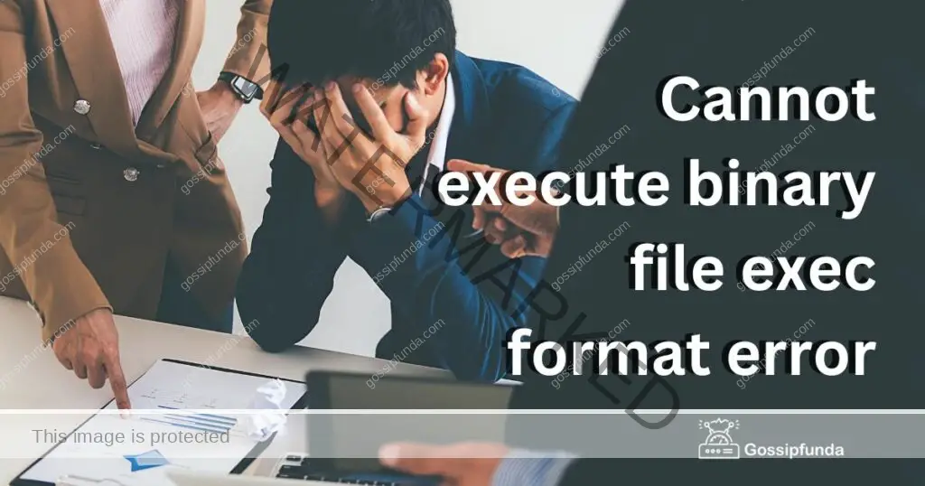 cannot execute binary file exec format error