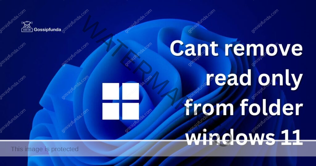 cant remove read only from folder windows 11