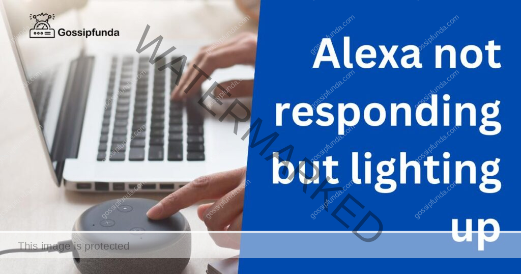 alexa not responding but lighting up