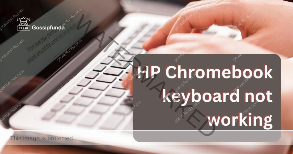 HP Chromebook keyboard not working