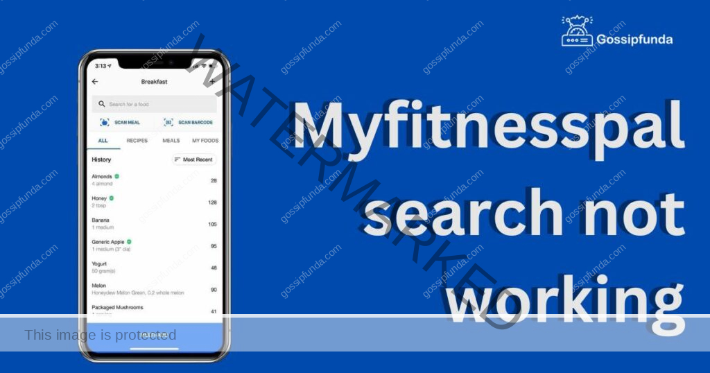Myfitnesspal search not working