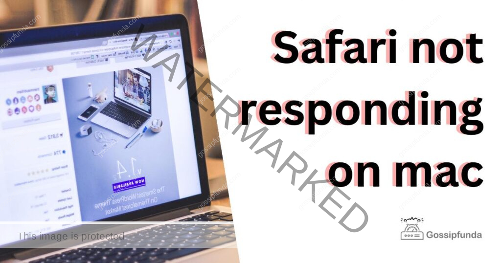 Safari not responding on mac