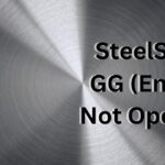 SteelSeries GG (Engine) Not Opening