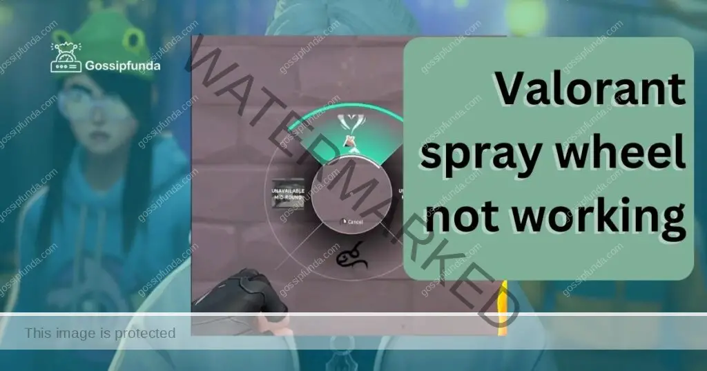 Valorant spray wheel not working