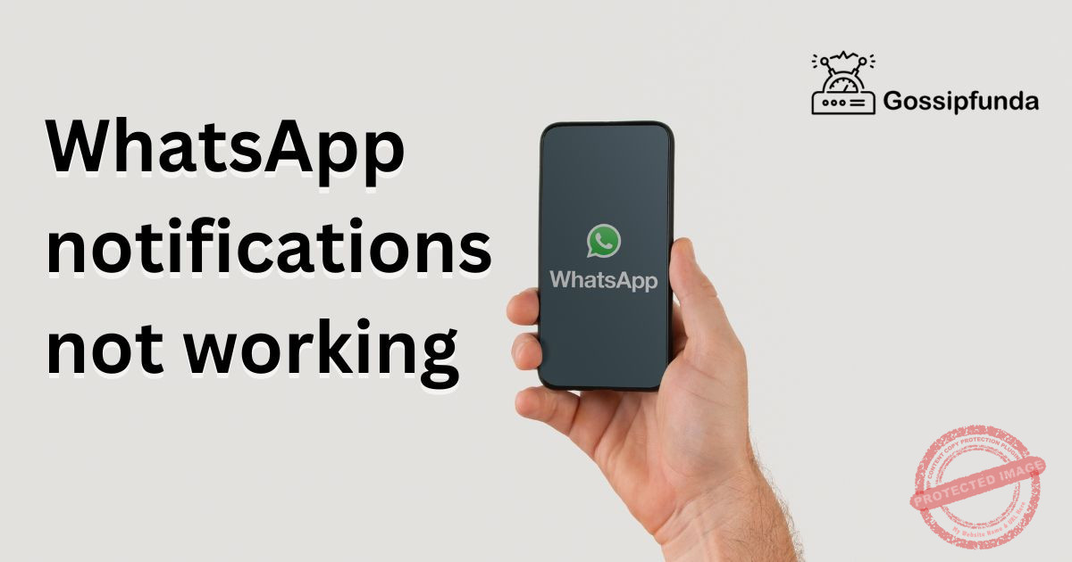 WhatsApp Notifications Not Working Gossipfunda