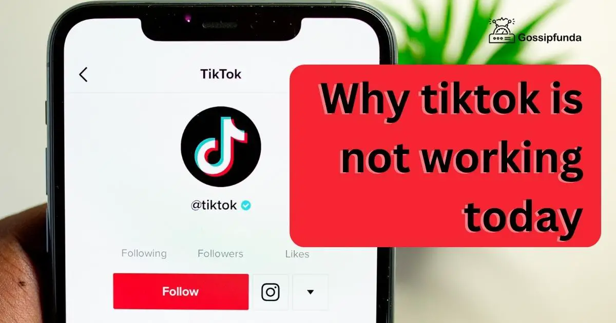Why tiktok is not working today Gossipfunda