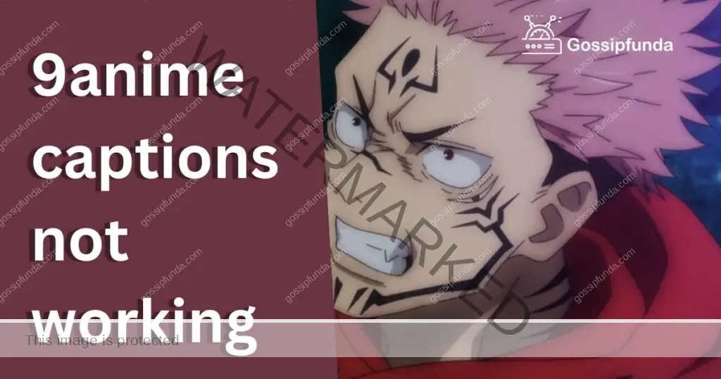 9anime captions not working