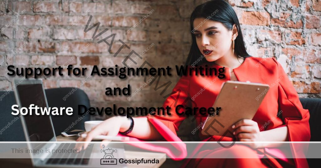 Support for Assignment Writing and the Software Development Career
