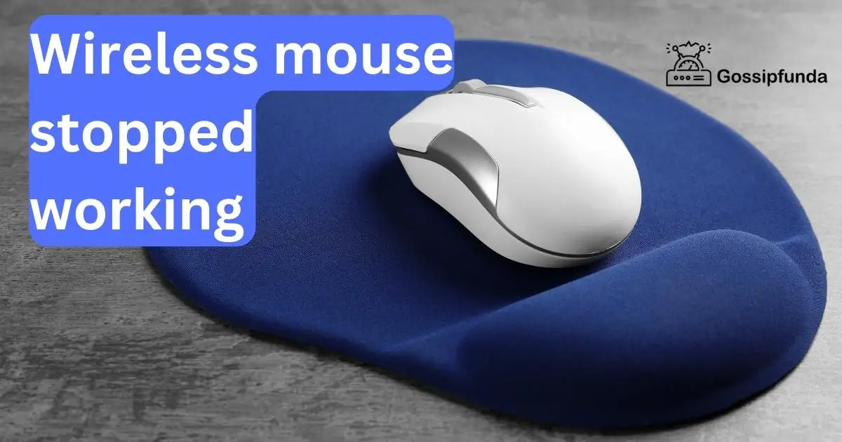 Wireless mouse stopped working Gossipfunda