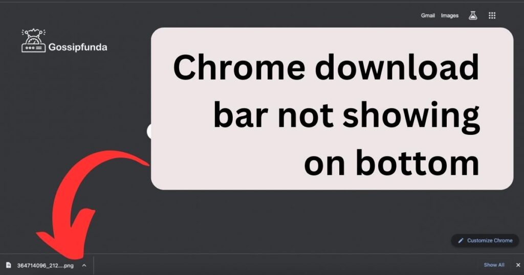 Chrome download bar not showing on bottom