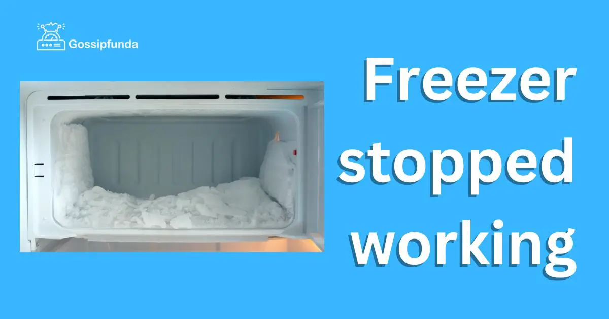 Freezer stopped working Gossipfunda